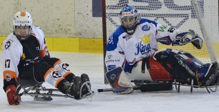 Dvojutkání na východě nepřineslo sledge hokejistům ani bod. Získali alespoň zkušenosti