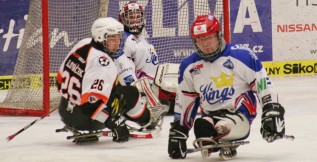 Závěr sledge hokejové ligy se musel obejít bez Jihočechů. Chyběli jim hráči