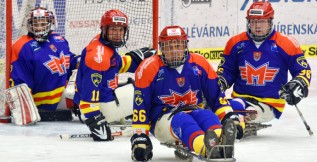 Sledge: Sparťané nahradili Zdeňka Krupičku, zato Jihočechům velmi chyběl Sandro Kalegeris