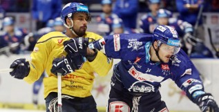Kladno vsadilo na Mitense. Jihočeši na Hrachovinu, jenž vychytal pátou nulu v sezoně 