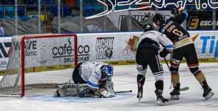Black Dogs se uvedli výhrou v Hradci Králové. Čekání na první trefu odšpuntoval Vavřík 