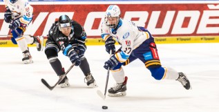 První porážka v sezoně: Změna domácího prostředí nepřinesla týmu Black Dogs štěstí